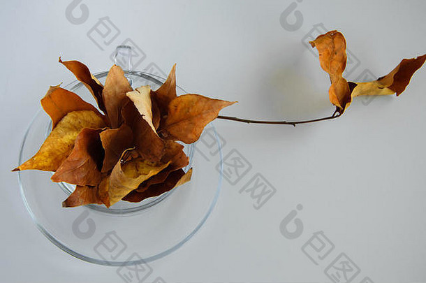 孤立的咖啡杯完整的金秋天叶子白色背景最小的秋<strong>冬季</strong>季节概念空间文本