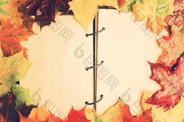 健美的开放笔记本秋天湿枫木叶子复制空间平躺风格