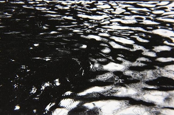 细古董黑色的白色极端的摄影群鸭子游泳池塘