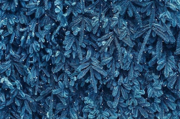 纹理墙装饰花环蓝色的松冷杉分支机构圣诞节背景经典颜色一年