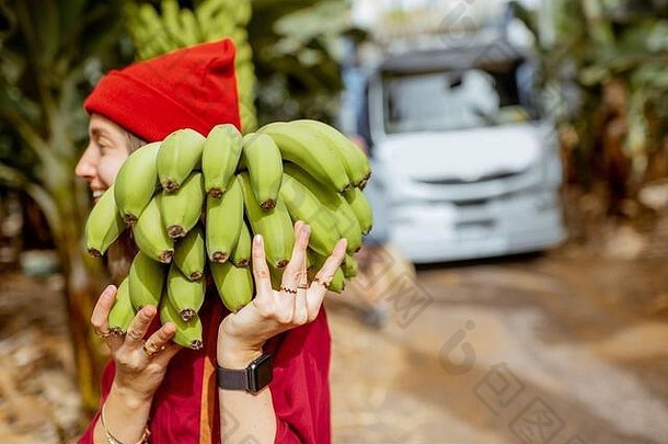 女人携带阀杆新鲜<strong>取货</strong>绿色香蕉种植园收获时间卡车背景