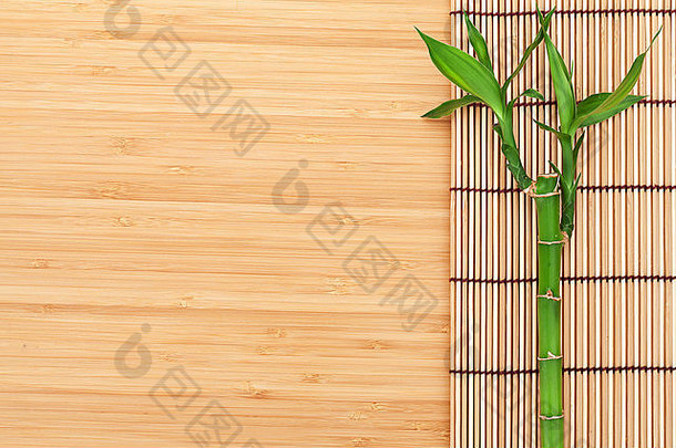 竹子植物席木表格复制空间