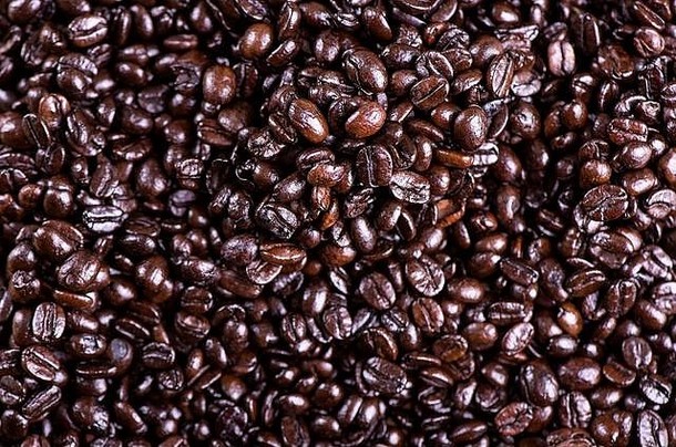 咖啡豆子表格装饰