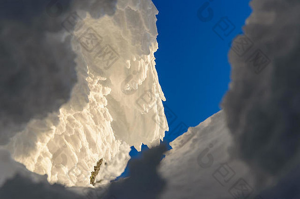 美丽的冬天日出山前冻美雪树巨大的字段深雪令人惊异的日出