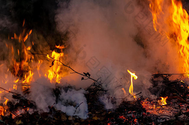 森林野火晚上区域覆盖火焰云黑暗烟扭曲的细节由于高温度蒸发气体