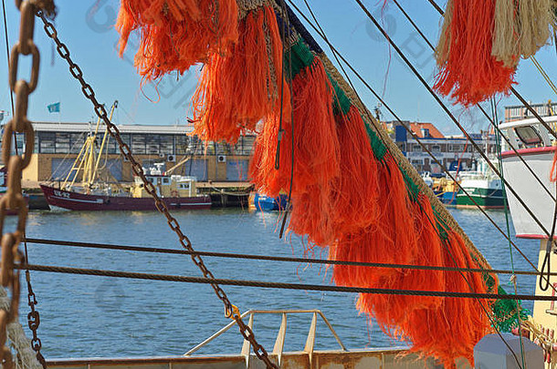 港口ijmuiden海钓鱼船卸载珍贵的货物鱼拍卖