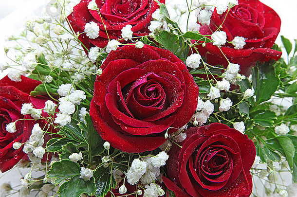 特写镜头玫瑰花束孤立的白色婚礼问候仪式