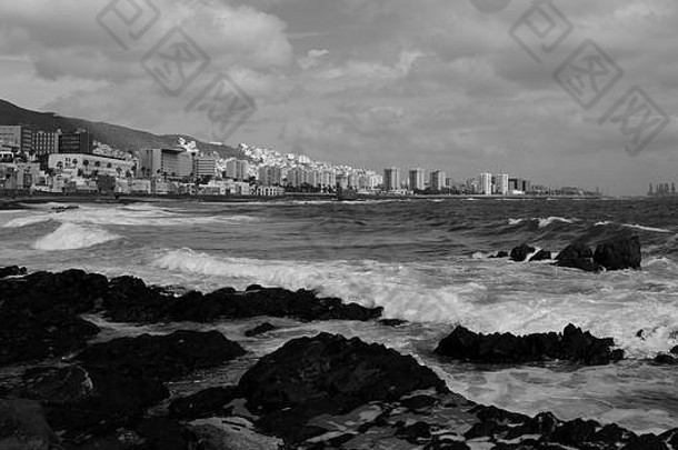 岩石海岸粗糙的海城市背景这些帕尔马斯大加那利岛单色效果