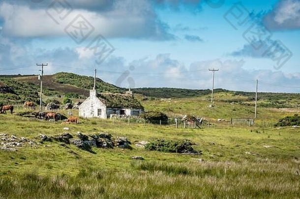 说出小屋苏格兰高地传统的农场房子的地盘屋顶农村苏格兰马放牧野生希瑟景观