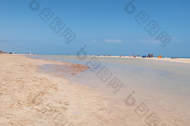 Fuerteventura金丝雀岛屿水晶清晰的水全景视图海滩playa婷婷著名的岛