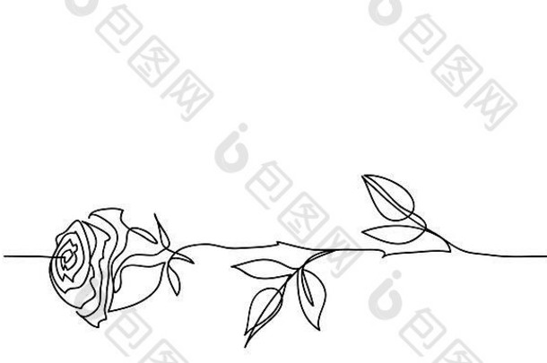 玫瑰花简约纹设计连续行画简单的黑色的白色玫瑰草图