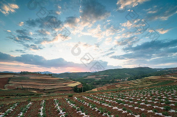 农田景观云南中国