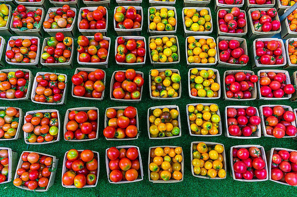 色彩斑斓的樱桃西红柿出售农民市场