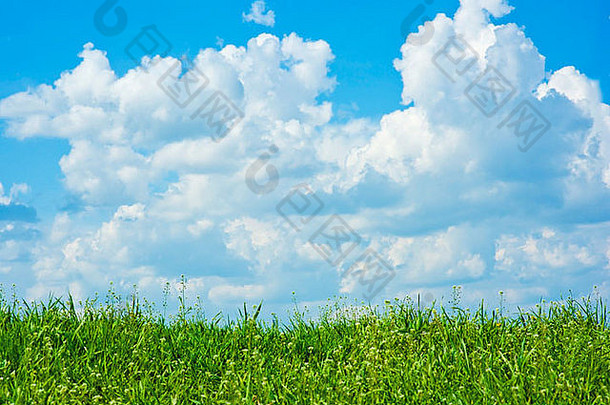 场草完美的天空云