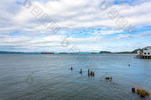 灰色的鹭腐烂的木支柱玛丽娜背景商业船只站锚地阿斯托里亚宽口