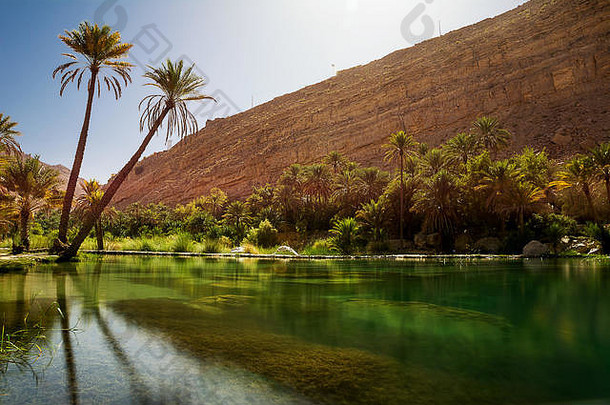 令人惊异的湖绿洲棕榈树Wadi巴尼哈立德阿曼沙漠