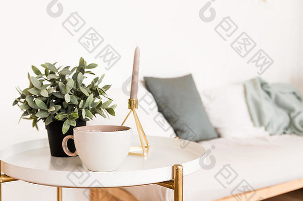 室内房间斯堪的那维亚风格杯咖啡咖啡表格蜡烛盆栽植物