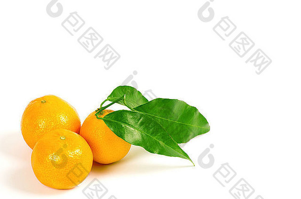 <strong>橘子</strong>绿色叶子孤立的白色