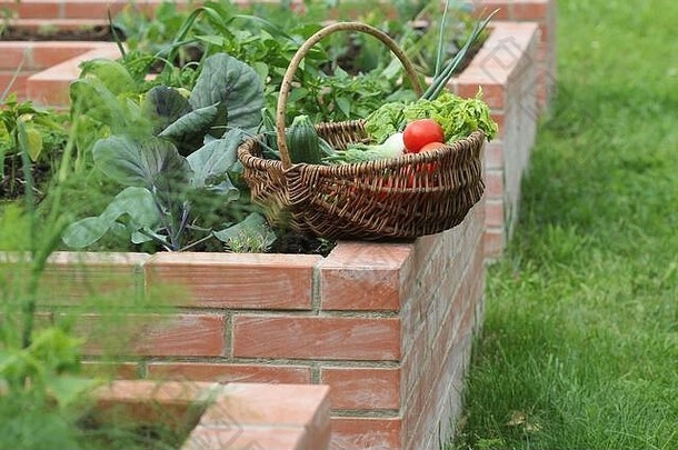 篮子蔬菜提高了床园艺城市<strong>花园</strong>日益增长的植物草本植物香料浆果蔬菜