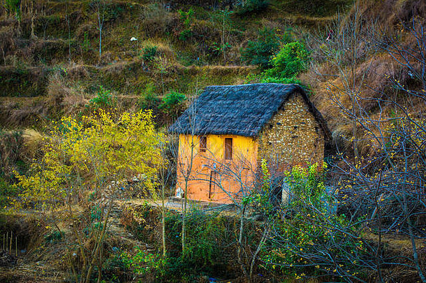 美丽的小橙色村房子