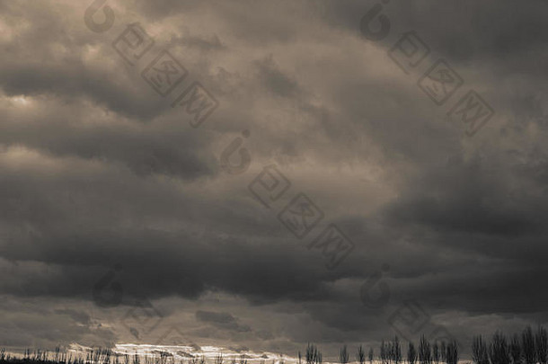 云树景观农村单色照片背景网络页面设计
