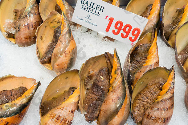 海蜗牛海鲜市场