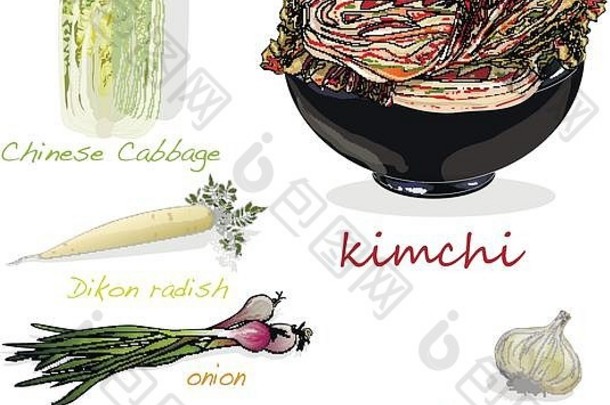 泡菜传统的朝鲜文食物插图白色成分
