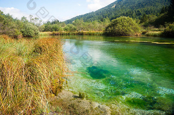 视图明亮的绿色清晰的河春天山森林阳光绿色斯洛文尼亚