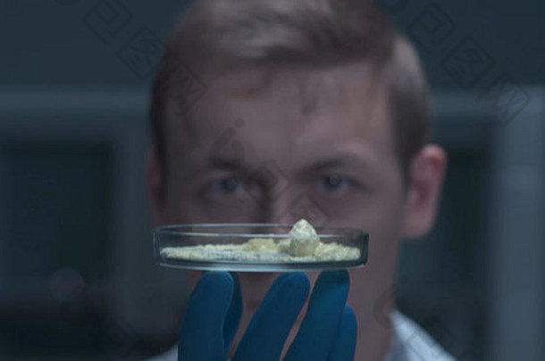 科学家持有佩特里菜病毒细菌细胞医疗农业科学家化学家研究员持有佩特里菜清晰的流体佩特里菜样本