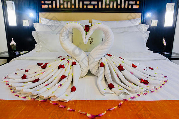 毛巾安排形状心红色的玫瑰花瓣安排心客人酒店