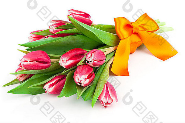 花束美丽的郁金香bow-knot3月情人节一天母亲的一天