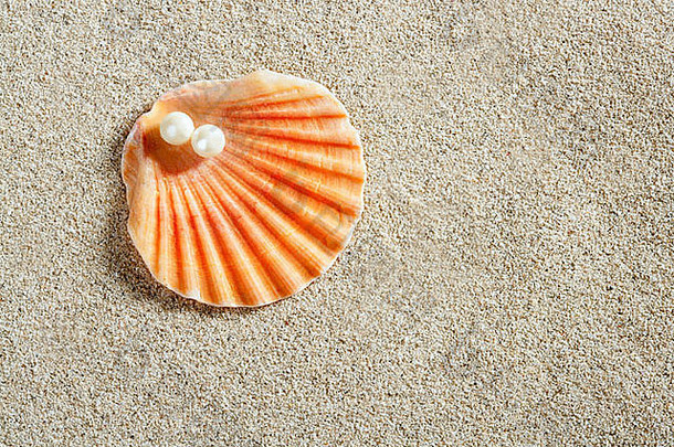 海滩白色沙子珍珠蛤壳牌宏特写镜头
