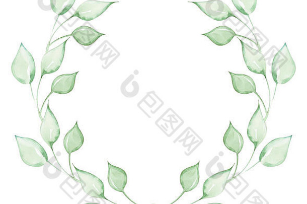 插图水彩画装饰元素绿色植物叶子形式帧孤立的白色背景