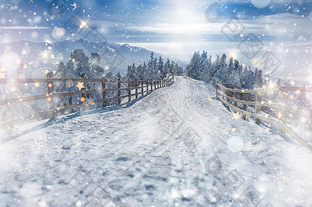 圣诞节风景优美的背景下降雪散景软灯金星星装饰冬天雪仙境景观