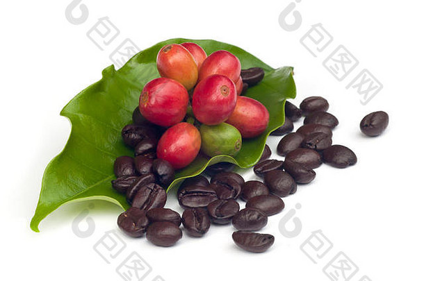咖啡豆子红色的成熟的咖啡孤立的白色背景