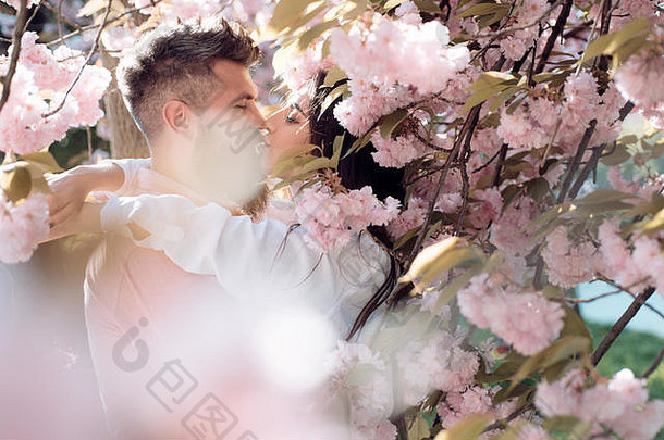 男人。女人接吻盛开的花园春天一天夫妇拥抱樱花树夫妇爱花时间春天花园花