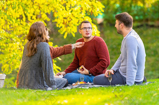 集团年轻的朋友野餐公园金光秋天坐着地毯草喝香槟吃