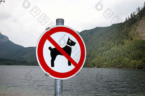狗允许湖