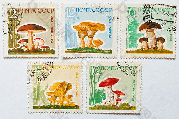 乌日哥罗德乌克兰约集合邮资邮票印刷苏联显示蘑菇系列约