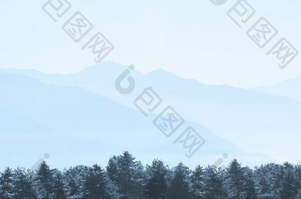 松树层山有雾的早....不丹