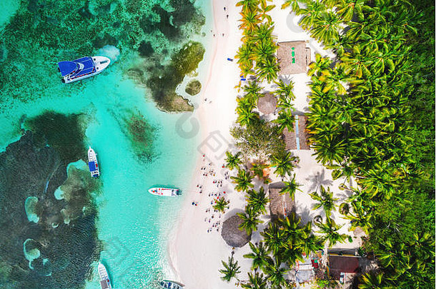 空中视图热带海滩saona岛多米尼加共和国