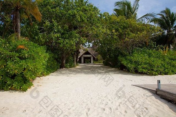 视图假期房子棕榈树马尔代夫