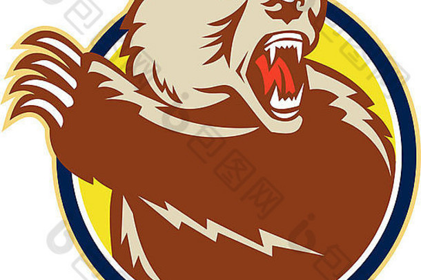 插图灰熊棕色（的）熊刷爪子攻击复古的风格集内部圆
