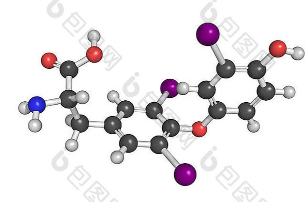 化学结构三碘甲状腺氨酸分子甲状腺激素影响增长发展新陈代谢