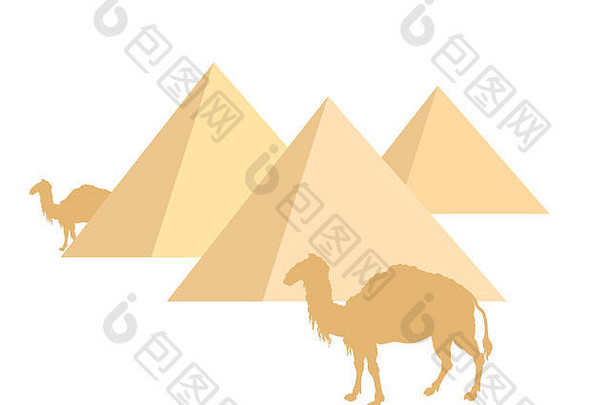 骆驼金字塔白色