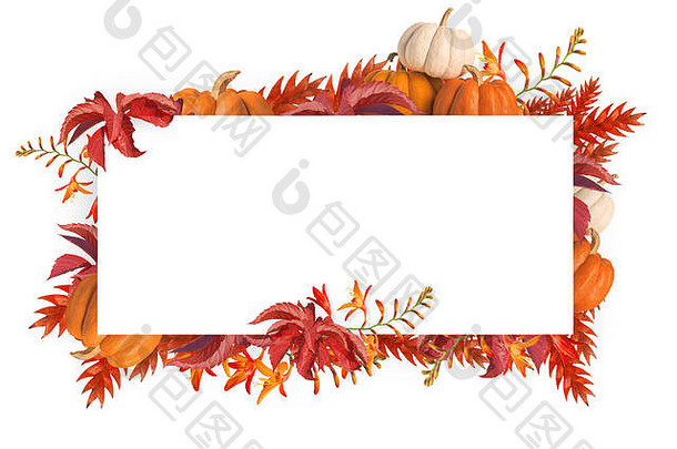 摘要设计秋天花南瓜框架万圣节背景孤立的白色背景