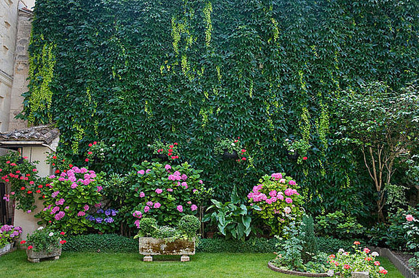 围墙花园爱美浓