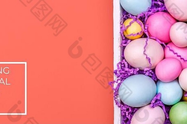多色鸡蛋白色托盘有创意的复活节概念现代固体粉红色的背景水平横幅格式生活珊瑚主题颜色一年