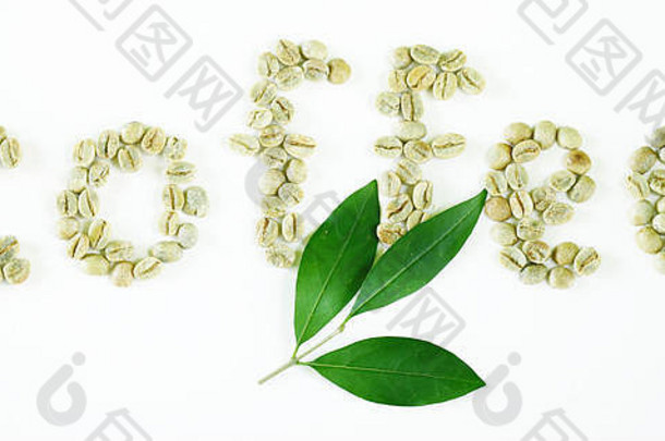 自然有机绿色咖啡豆子健康的食物