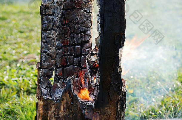 闷树树干燃烧中间
